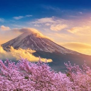 HÀ NỘI – NARITA – PHÚ SĨ - TOKYO 5 Ngày 4 Đêm - 23.900.000₫