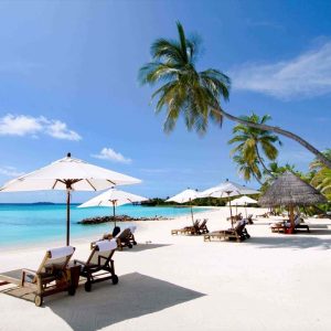 HÀ NỘI - NHA TRANG – ĐÀ LẠT –  HÀ NỘI 5N4Đ - 8.390.000₫